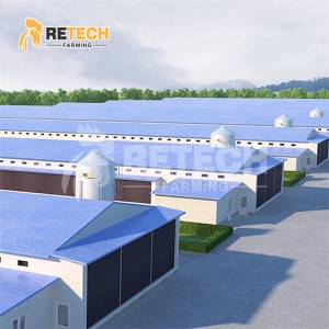 Good price layer house steel structure poultry farm design in Senegal