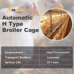 Good Quality  Chicken House Battery Cage Broiler Poultry Farms in Philippines