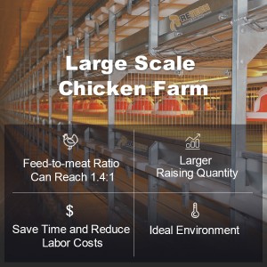 Automatic Chicken Cage Broiler House Poultry Farm Equipment with Nipple Drinkers