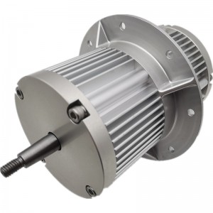 Sanoat bardoshli BLDC fan motori-W89127