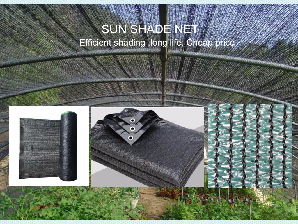 100% Virgin HDPE Agriculture Sun Shade Cloth/ Shade Netting Featured Image