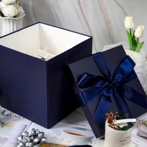 Medium Gift Box with Lids, Ribbon and Tissue Paper, Collapsible Gift Box