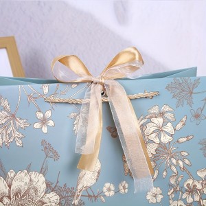 Paper Bag Printed Clothing Shopping Companion Gift Package Bag