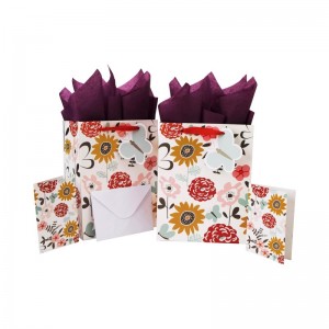 Medium Gift Bag Set with Greeting Card and Tissue Paper