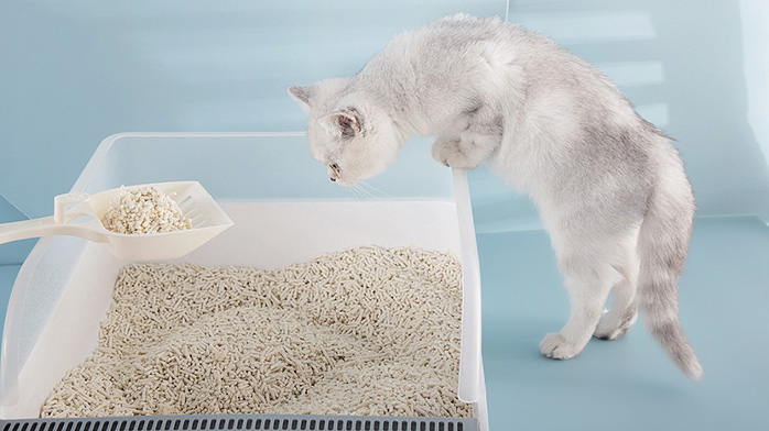 O efeito da matriz anelar da peletizadora na granulação da maca de tofu para gatos