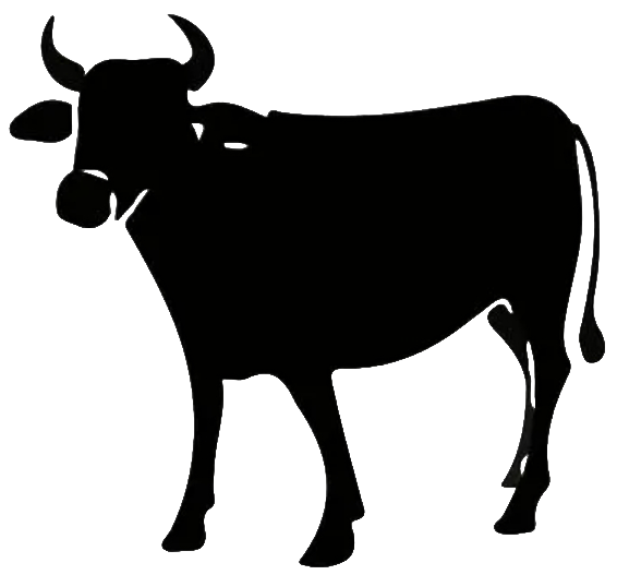 Alimentação de bovinos e ovinos