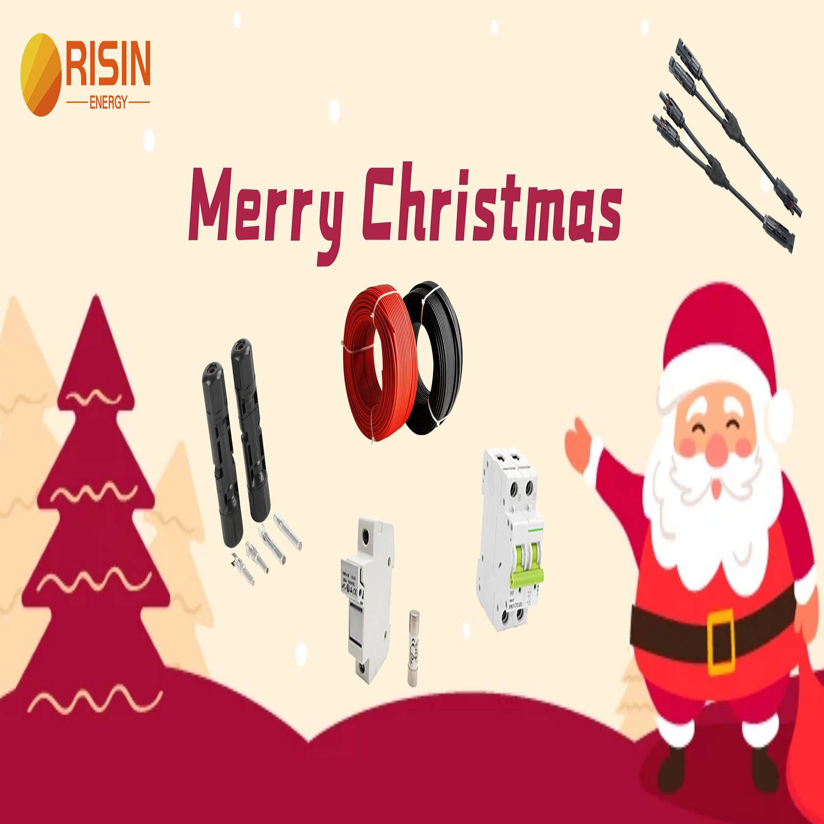 Merry Christmas to all Risin partners in the new year 2021
