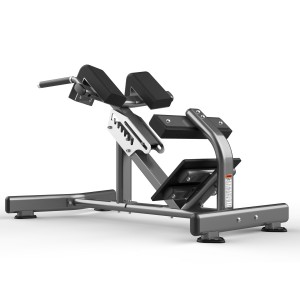 Home Weights FW-1006 Hyperextension