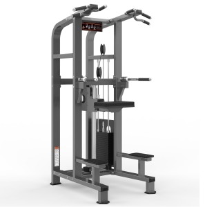 I-Gym Exercise PF-1008 Assistant Chin/DIP
