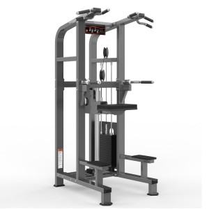 Gym Exercise Machine M3-1020 Chin/Dip Assist
