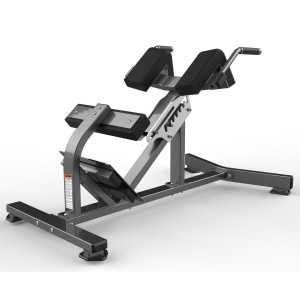 Fitness Exercise Equipment FW-2006 Hyperextension