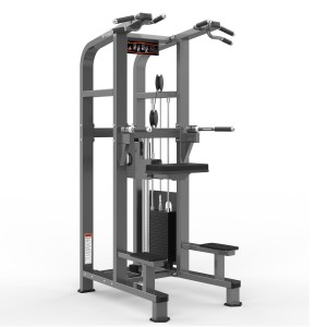 Gym Fitness Equipment M2-1020 Chin/Dip Assist