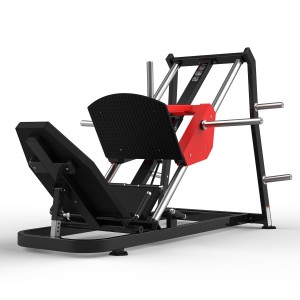 Body Workout Machines RS-1029 Linear Leg Press