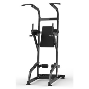Exercise Items RS-1042 Chin Up/Dip
