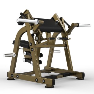 Fitness Home Gym LD-1005 Biceps