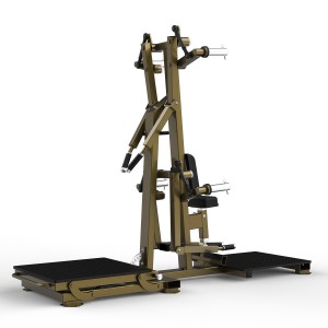 Fitness Multi Gym LD-1004 sānu pacelšana/aizmugures deltveida