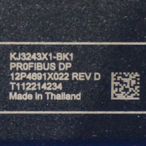 ಎಮರ್ಸನ್ KJ3243X1-BK1 12P4691X032 ಪ್ರೊಫೈಬಸ್ DP ಇಂಟರ್ಫೇಸ್