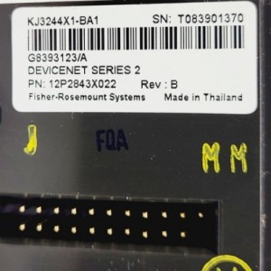 ಎಮರ್ಸನ್ KJ3244X1-BA1 DeltaV DeviceNet ಇಂಟರ್ಫೇಸ್