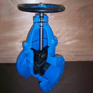 BS5163 British standard Flange NRS Resilient Seated Gate Valve