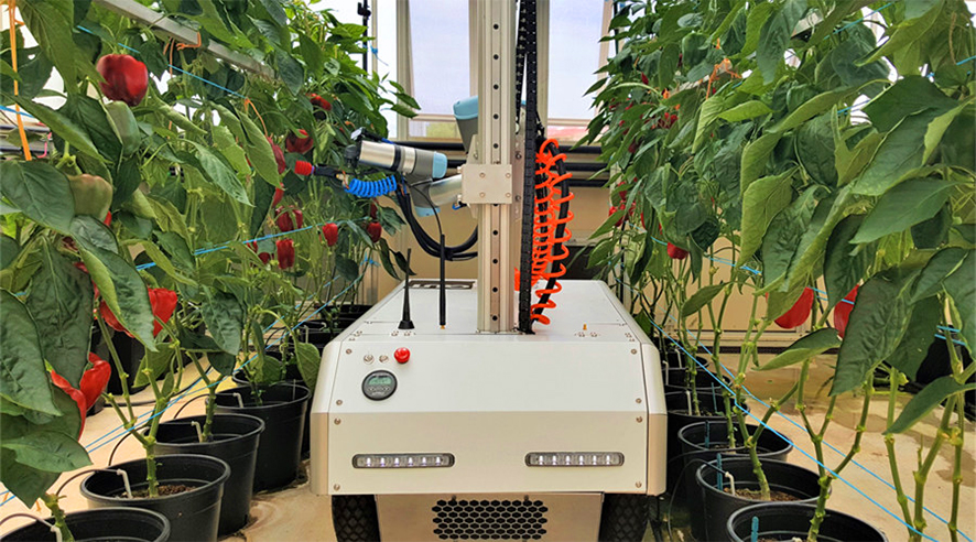 What are the applications of agricultural robot？