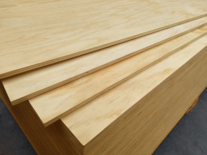 Fixed Competitive Price China CDX Pine Plywood Shuttering Pine Plywood for Construction