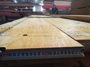200 x 65mm Structural LVL Engineered Wood H2S Treated SENSO Frame E13