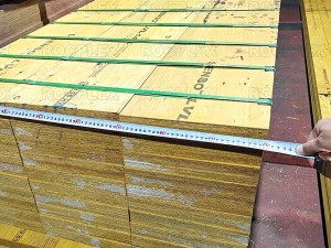 300 x 65mm Structural LVL Engineered Wood H2S Treated SENSO Frame E13