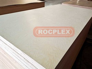 Birch Plywood OEM/ODM Supplier China Commercial Plywood with Bintangor Okoume Birch Pine Veneer