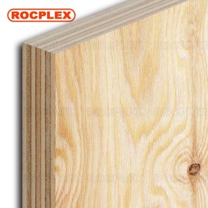 Hot Sale for China Cheap Price 12 Plywood 4X8 CDX Pine Plywood for South America