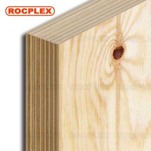 CDX Pine Plywood 2440 x 1220 x 21mm CDX Grade Ply ( Common: 4 ft. x 8 ft. CDX Project Panel )
