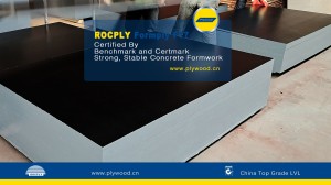 F17 Formply Manufacturer 2400 x 1200 Good User Reputation for  Quality AS6669 Australia Standard F17 Structrual Formply for Concrete Construction Plywood