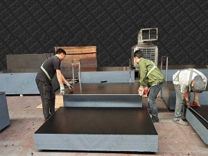 Professional Factory F14 Formply 1200X1800X17mm for AS6669 Black Film Plywood Form Work