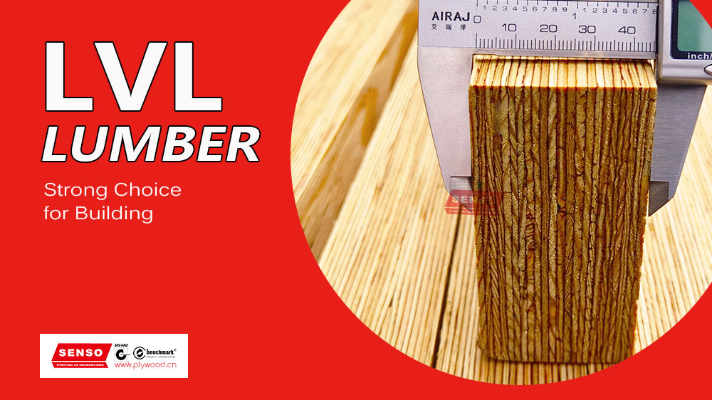 LVL Lumber Strong Choice for Building
