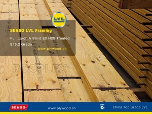 E13 E14 Structural LVL China Supplier OEM Australia F17 LVL for Structural Framing