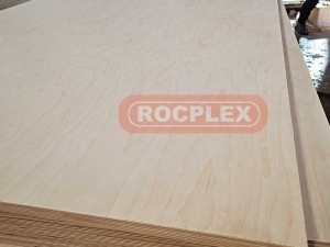 OEM/ODM Manufacturer China Factory Hardwood Core Birch Plywood with Competitive Price