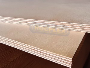 Birch Plywood Factory source China 18mm 12mm Waterproof Glue Birch Plywood Sheet Board Wholesale with FSC EPA Carb