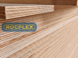 Plywood Prices for High Quality with Competitive Price of China Birch Plywood for Furniture