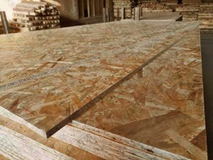 OSB China New Product China OSB3 OSB 3 9mm 11mm 12mm 18mm Structural Particle Board WBP Plain Raw Pine Poplar Waterproof Mr Mdi Glue OSB for Construction