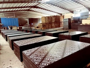 China Manufacturer Waterproof Slab Formwork Plywood 18mm Waterproof Marine Wooden Shuttering with Different Colors