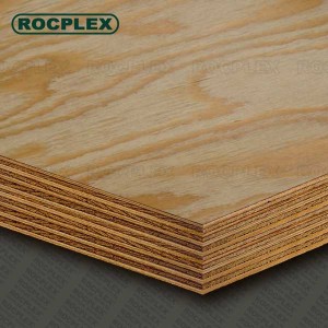 Structural Plywood Sheets 2400 x 1200 x 25mm CD Grade ( For structural Use Ply 25mm ) | SENSO