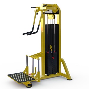 Specially Designed High-End Fitness Equipment for National Athletes Lateral Raise Machine