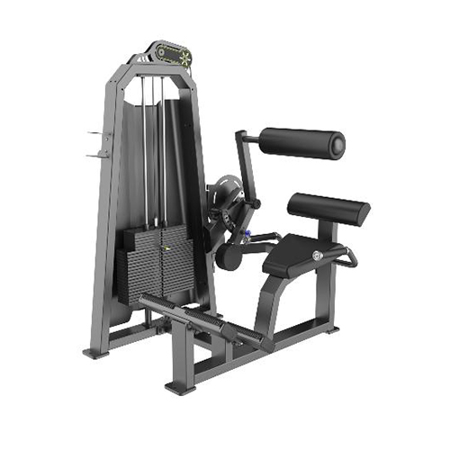 Body Shaper Gym Equipment Gym Exercise Back Extension Machine Featured Image