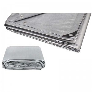 Waterproof Tarpaulin Plastic Tarp Protection Sheet, 08×10 Silver