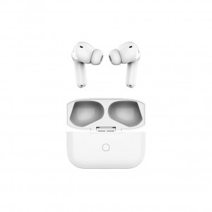 True Wireless Active Noise Canceling Earbuds