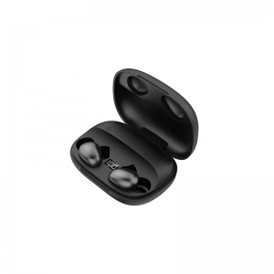 Cheap Tws Bluetooth 5.0 Earbuds Factory –  Wireless Earbuds,Wireless Power Bank Charging Case – Roman