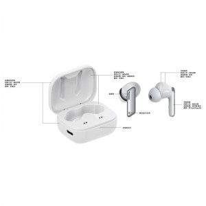 Active Noise Cancelling Wireless Earbuds, in-Ear Detection Headphones