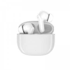 Wireless Charging ANC Earbuds T208XRW