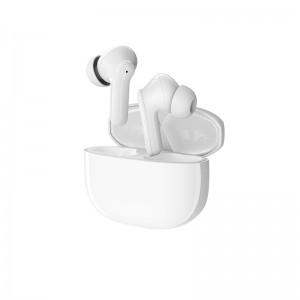Wireless Charging ANC Earbuds T208XRW