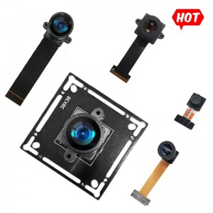High Speed 240fps Global Shutter Fixed Focus 1.3MP SC130GS DVP/MIPI Security Monitoring Camera Module