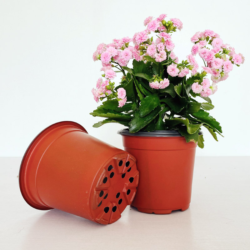Hot Sale Factory Direct Cheap Wholesale New Two-color Plastic Flowerpot